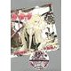化物語（9）特装版(講談社キャラクターズA) [コミック]