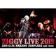 ZIGGY／LIVE 2019 2019.12.26 NAKANO SUNPLAZA AND MORE [DVD]