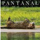 PANTANAL パンタナール [単行本]