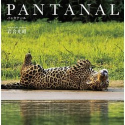 PANTANAL パンタナール [単行本]