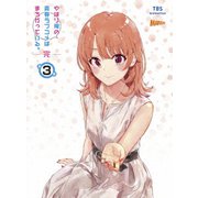 やはり俺の青春ラブコメはまちがっている。完 第3巻