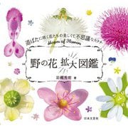 野の花拡大図鑑―道ばたに咲く花たちの美しくて不思議なカタチ [単行本]