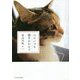 心にいつも猫をかかえて [単行本]