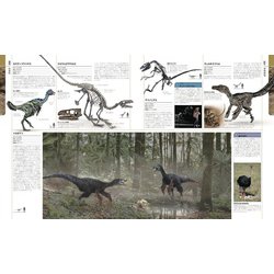 生物の進化大図鑑 Amazon.co.jp: 生物の進化 大図鑑 : マイケル・J・ベントン 他