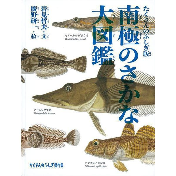南極のさかな大図鑑(たくさんのふしぎ傑作集) [絵本]