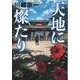 天地に燦たり(文春文庫) [文庫]