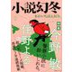 小説幻冬 2020年 05月号 [雑誌]