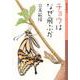 チョウはなぜ飛ぶか(岩波少年文庫) [全集叢書]
