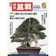 近代盆栽 2020年 06月号 [雑誌]