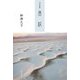 五行歌集 風紋 [単行本]