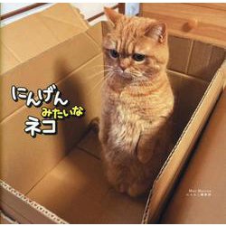 にんげんみたいなネコ [単行本]