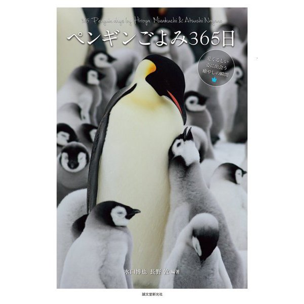 ペンギンごよみ365日―愛くるしい姿に出会う癒やしの瞬間 [全集叢書]
