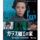ガラス細工の家 [Blu-ray Disc]
