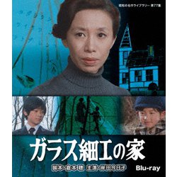 ガラス細工の家 [Blu-ray Disc]