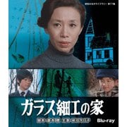 ガラス細工の家
