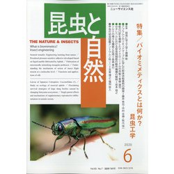 昆虫と自然 2020年 06月号 [雑誌]