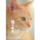 猫は家族―きなちゃんとダンくんが私に教えてくれたこと [単行本]
