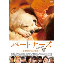 パートナーズ ～盲導犬チエの物語～ [DVD]