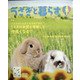 うさぎと暮らす 2020年 07月号 [雑誌]