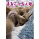 「ねこ休み展」スピンオフ公認!まるごとちくわファースト写真集 [単行本]