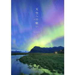 天空への願い [単行本]