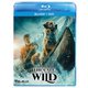野性の呼び声 [Blu-ray Disc]