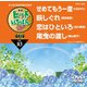 ヒットいちばん W [DVD]