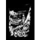 武部本一郎 画集 II 〈戦士〉 [単行本]