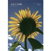 心おどる昂揚―輝くアイルランド [単行本]