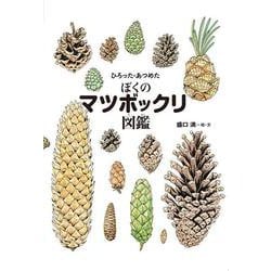 ひろった・あつめた　ぼくのマツボックリ図鑑 [絵本]