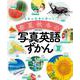 夏(日本の四季を話そう 春夏秋冬の写真英語ずかん) [全集叢書]