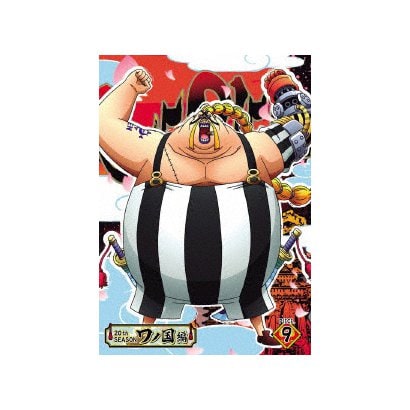 バーゲンセール One Piece ワンピース thシーズン Piece 9 ワノ国編