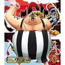ONE PIECE ワンピース 20THシーズン ワノ国編 PIECE.9 [Blu-ray Disc]