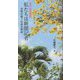 "現代新聞物語"私たちは新聞記者―女性の眼で社会を取材 [新書]
