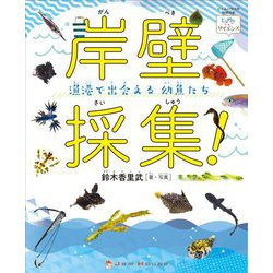 岸壁採集!―漁港で出会える幼魚たち(ときめき×サイエンス) [全集叢書]