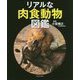 リアルな肉食動物図鑑 [単行本]
