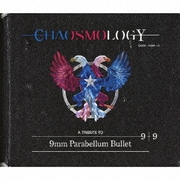 CHAOSMOLOGY