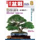 近代盆栽 2020年 08月号 [雑誌]