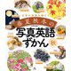 日本の四季を話そう 春夏秋冬の写真英語ずかん 秋 [全集叢書]