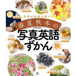 日本の四季を話そう 春夏秋冬の写真英語ずかん 秋 [全集叢書]