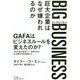 BIG BUSINESS(ビッグビジネス)―巨大企業はなぜ嫌われるのか [単行本]