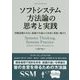 ソフトシステム方法論の思考と実践―問題認識を共有し組織や仕組みの改善と発展に繋げる 復刊 (フェニックスシリーズ) [単行本]