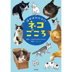 話せばわかる！？ ネコごころ（単行本＜258＞） [単行本]