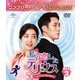 私の恋したテリウス～A Love Mission～ BOX2<コンプリート・シンプルDVD-BOX> [DVD]
