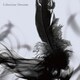 INORAN／Libertine Dreams