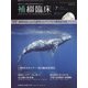 補綴臨床 2020年 07月号 [雑誌]