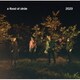a flood of circle／2020
