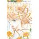 どうしようもない僕とキスしよう<３>(フラワーコミックス α) [コミック]