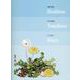 星野富弘花の詩画だいありーたんぽぽ [ムックその他]