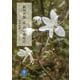 新田次郎 続・山の歳時記(ヤマケイ文庫) [文庫]